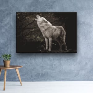 Bild varg som ylar, hänger på en vägg i ett vardagsrum