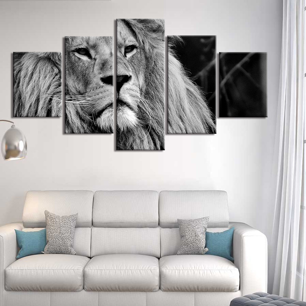 Svartvitt lejonhuvud bild Lejonbild Djur format: Horisontell