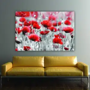 Bild av röd vallmo. God kvalitet, original, hängde på en vägg ovanför en soffa i ett hus