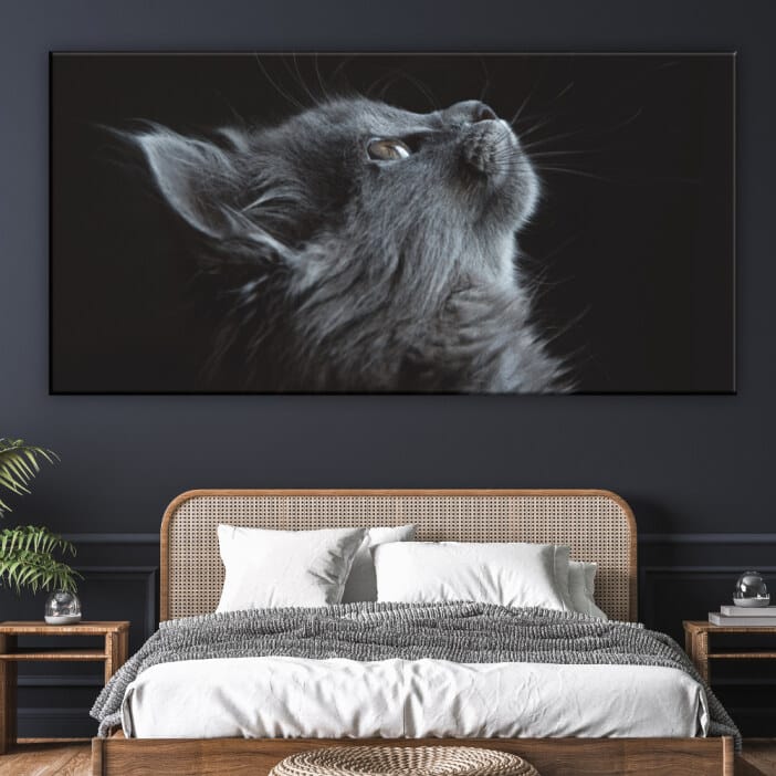 Grå kattunge bild. God kvalitet, original, hänger på väggen, ovanför sängen i ett hus