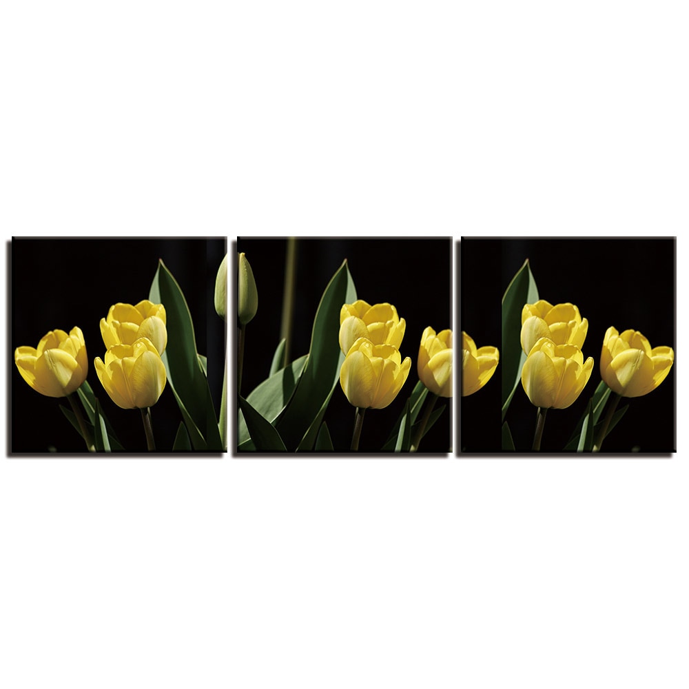 Bild tulpaner gul Bild blomma natur