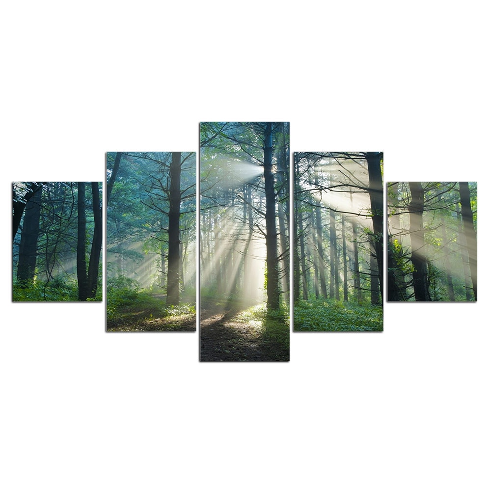 Luminös stig i skogen bild Träd bild Natur bild