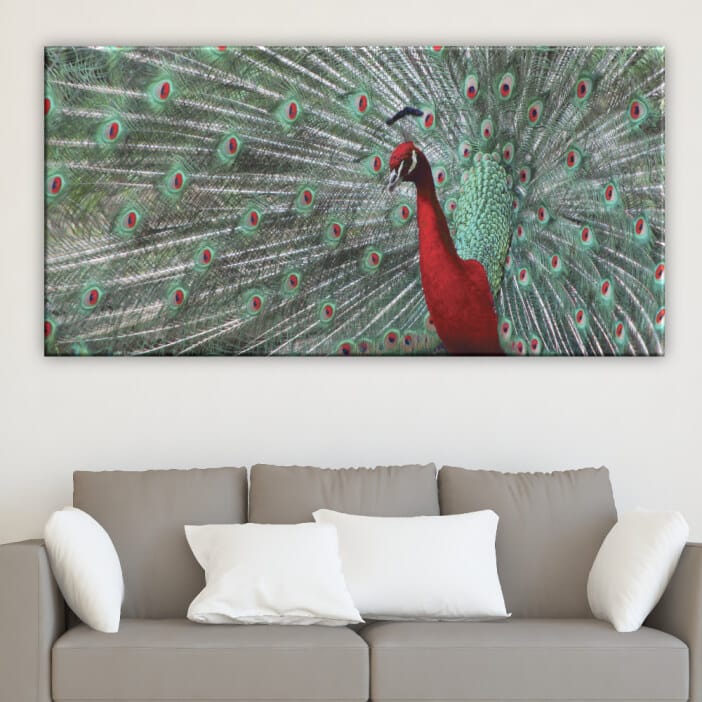 Påfågelmålning. God kvalitet, original, hängde på en vägg ovanför en soffa i ett vardagsrum