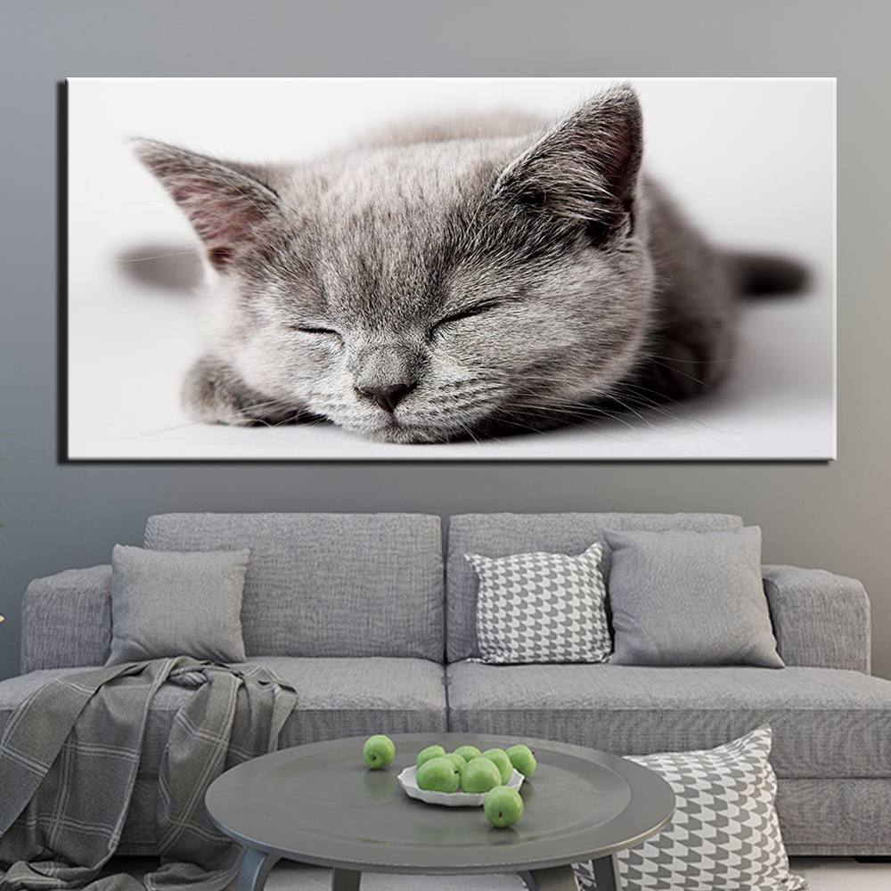Bild på sovande kattunge Bild på kattbild Djurbild Storlek: XXS|XS|S|M|L|XL|XXL