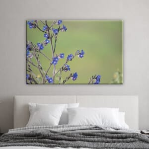 Blå blommor bild. God kvalitet, original, hängde på en vägg ovanför en soffa i ett hus