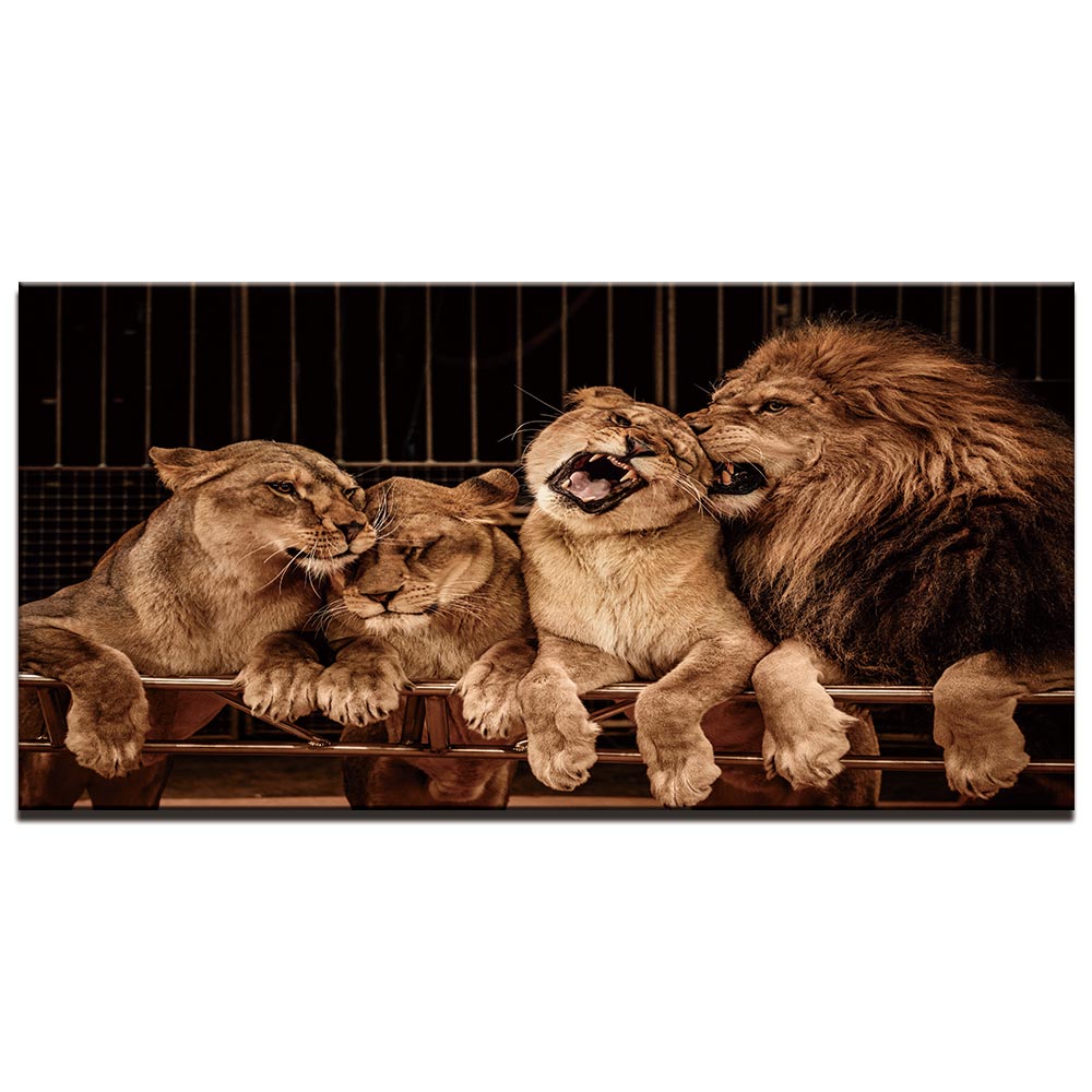 Familjediagram för Lion