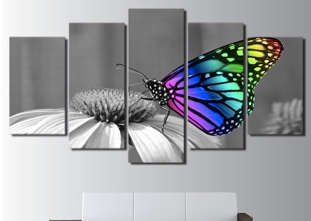 Flerfärgad fjäril på svart och vit bakgrund