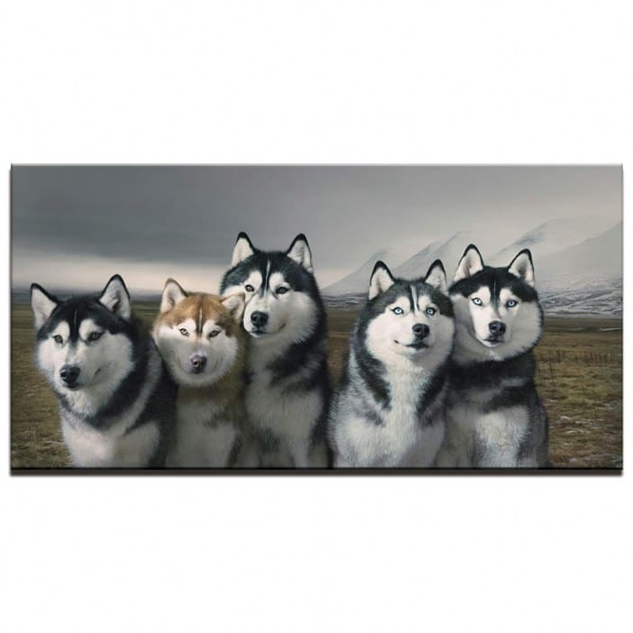 Husky spettbräda