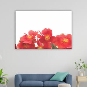 Zinnia blomma målning. God kvalitet, original, hängde på en vägg ovanför en soffa i ett vardagsrum