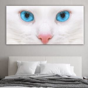 Bild på vit katt. God kvalitet, original, hängde på en vägg ovanför en soffa i ett hus