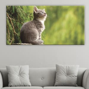Målande kattunge i det vilda. God kvalitet, original, hängde på en vägg ovanför en soffa i ett vardagsrum