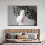 Kattögon bild. God kvalitet, original, hängde på en vägg ovanför en säng i ett vardagsrum