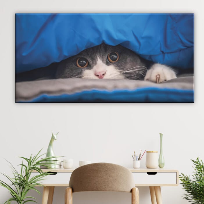 Målning katt gömmer sig. God kvalitet, original, hängde på en vägg ovanför ett bord i ett vardagsrum