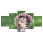 Bild katt krona av blommor Bild katt Bild djur