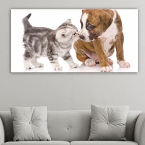 Målning katt kysser hund. God kvalitet, original, hängde på en vägg ovanför en soffa i ett vardagsrum