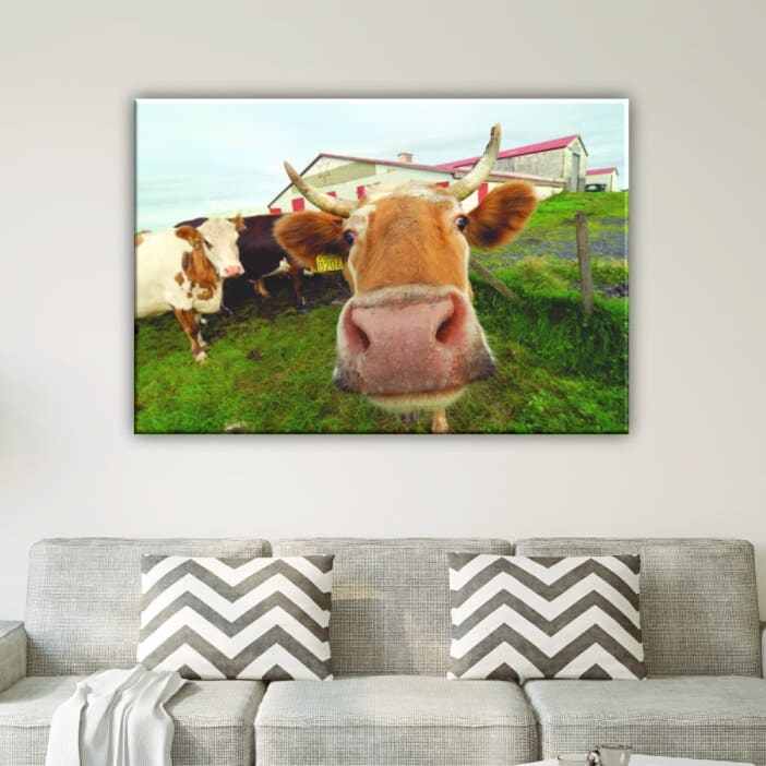 Målning av ko på en gård. God kvalitet, original, hängde på en vägg med en soffa i ett hus