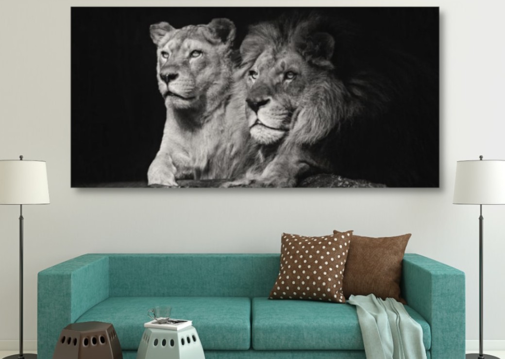 svartvitt lejon och lejoninna målning