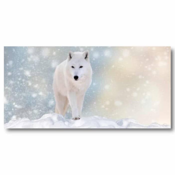 Bild Varg i snön Bild Djur Bild Varg