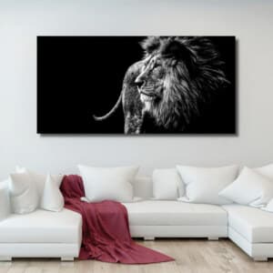 Svartvitt lejon bild Lejon bild Djur