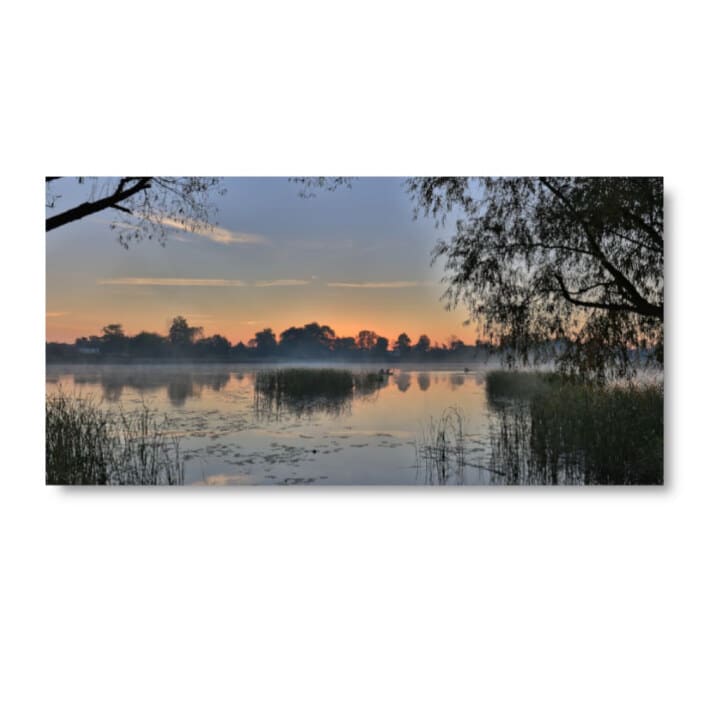 Bild Soluppgång i mangroven bild Landskap bild Natur bild