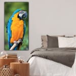 Tableau Ara bleu de face Tableau Animaux Oiseau
