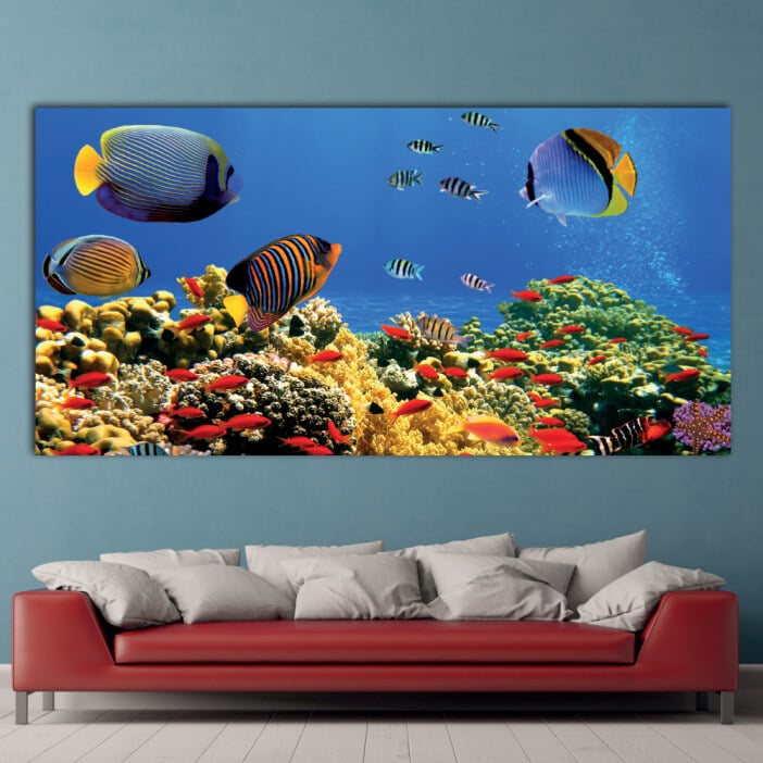 Tableau Akvarium Tableau Djur Tableau Hav Tableau Natur Tableau