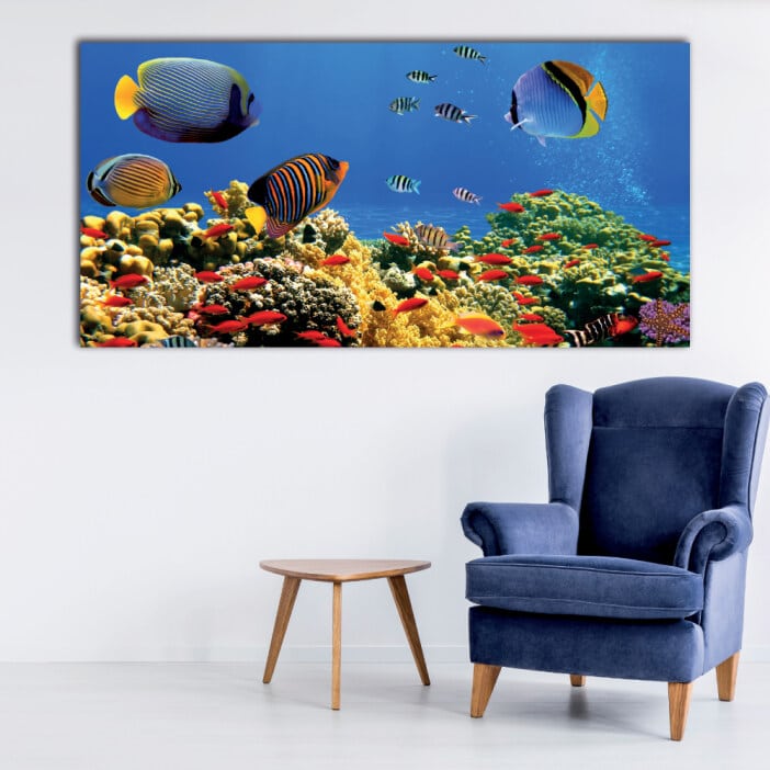 Tableau Akvarium Tableau Djur Tableau Hav Tableau Natur Tableau