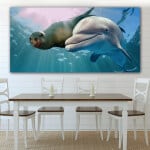 Bild Delfin och sjölejon Bild Hav Bild Natur