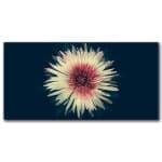 Solitär blomma målning Blom målning Natur