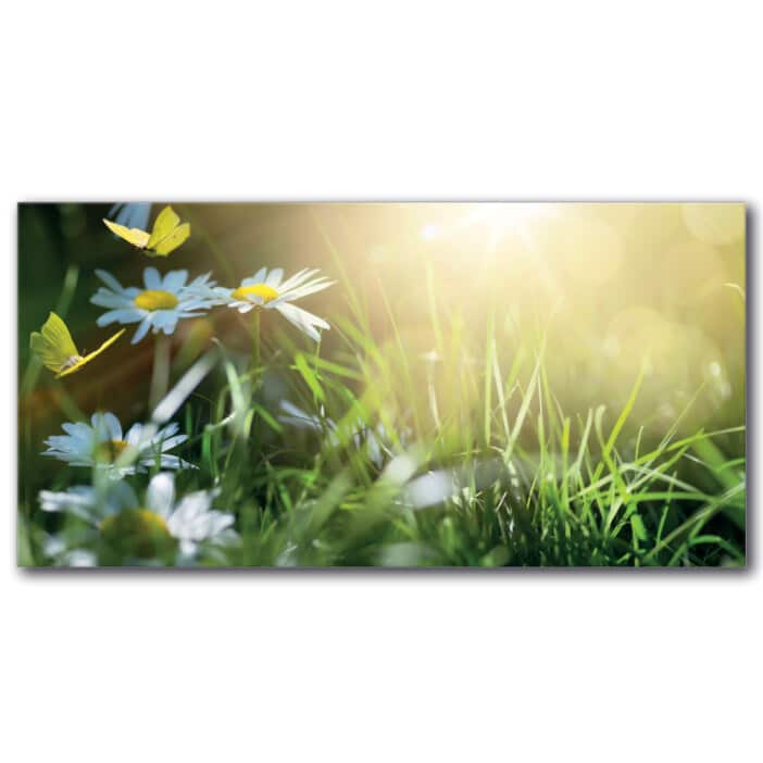 Förtrollad trädgård bild Blomma bild Natur bild Fjäril bild