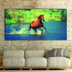 Bild brun häst som springer på en sjö Bild djur Bild häst