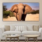 Bord Elefant på savannen Bord Djur Bord Elefant