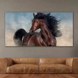 Hästbild Mustang Djurbild Hästbild