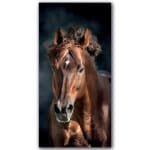 Hästmålning Djurmålning Hästmålning Hästmålning