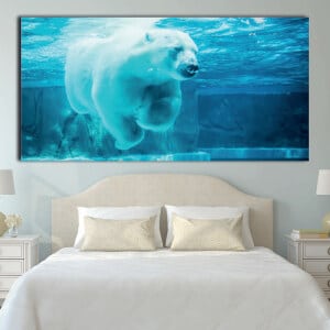 Bild isbjörn simning Bild djur Bild björn