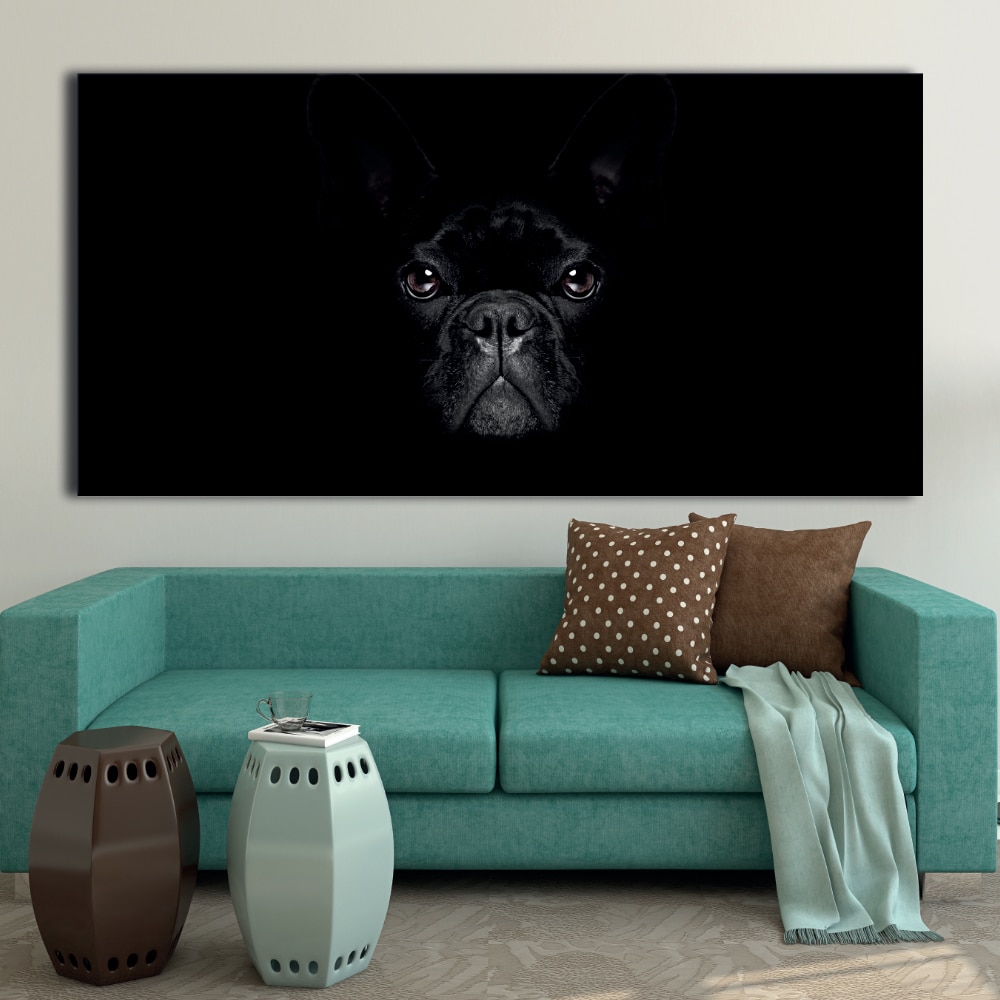 Fransk bulldogg i mörkret bild Djurbild Hundstorlek: XXS|XS|S|M|L|XL|XXL