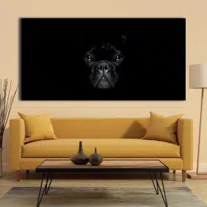 Bild Fransk bulldogg i mörkret Bild Djur Bild Hund