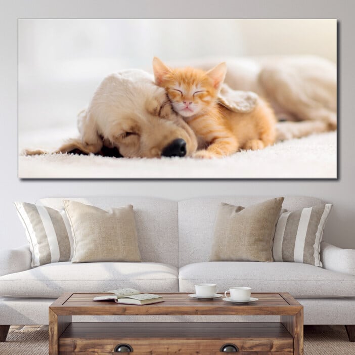 Bild Katt och hund sover tillsammans Bild Djur Bild Katt Bild Hund
