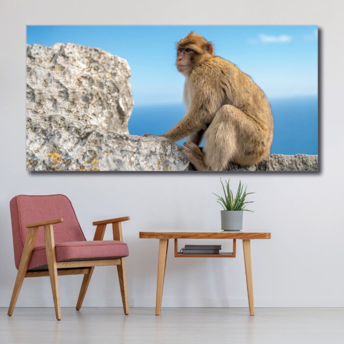 Målning Monkey framför havet Målning djur Monkey