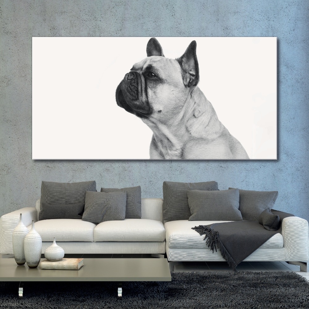 Bild Profil av fransk bulldogg svart och vit Bild Djur Bild Hundstorlek: XXS|XS|S|M|L|XL|XXL