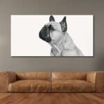 Bildprofil av fransk bulldogg svart och vit Bild Djur Bild Hund