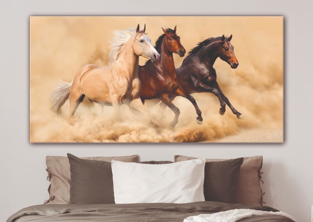 Bilder av hästar som springer i sanden Tabloide