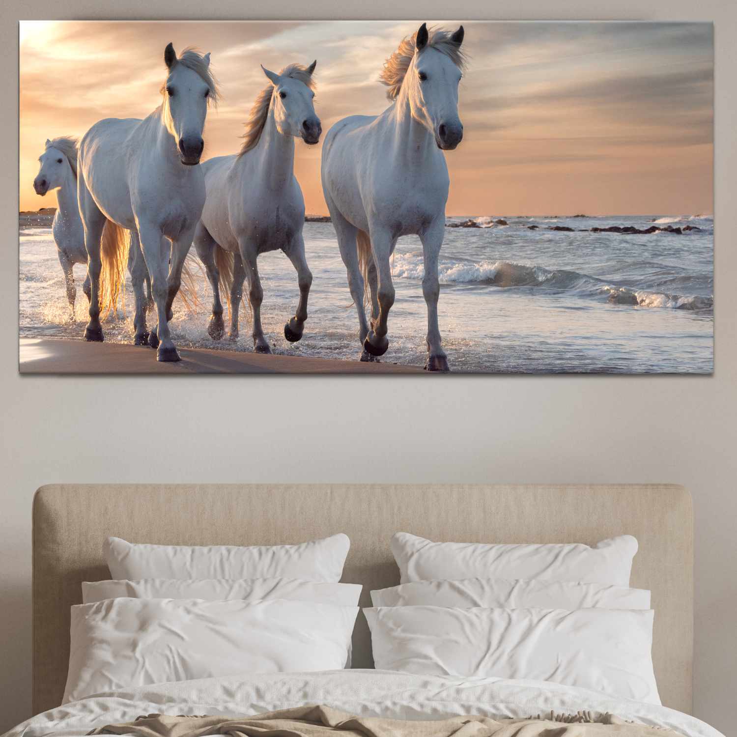 Bild fyra vita hästar på stranden Bild Djur Bild Häst