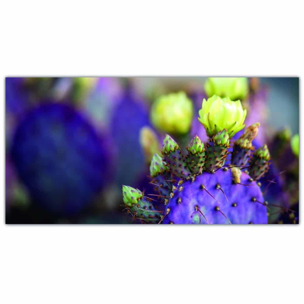 Lila kaktus bredvid en blomma Bild Blomma Bild Natur Storlek: XXS|XS|S|M|L|XL|XXL