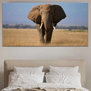 Målning Magnifik elefant på savannen