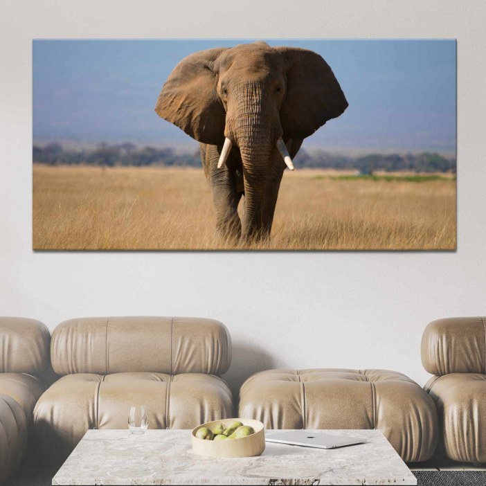 Målning Magnifik elefant på savannen