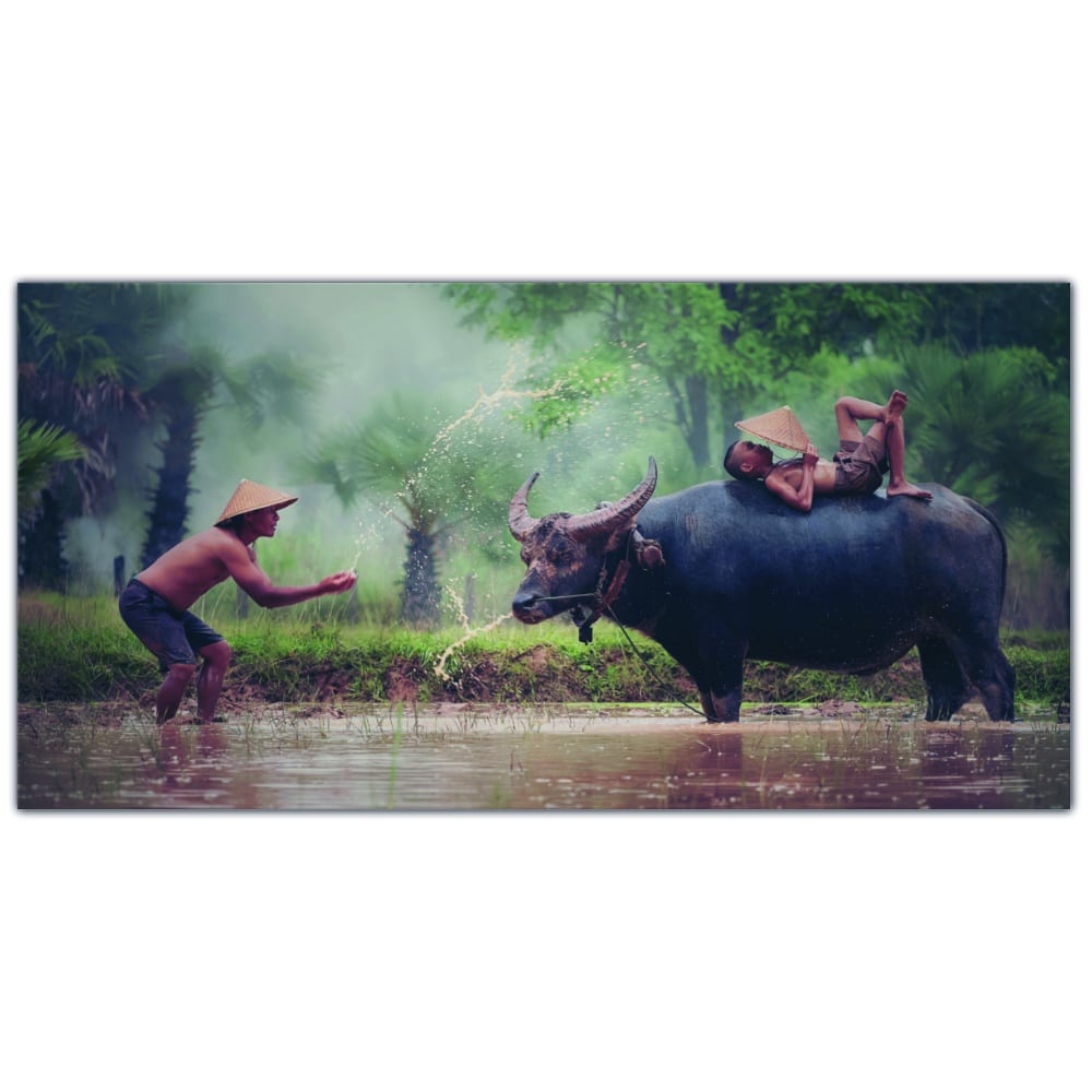 Bild Asiater som leker i floden Bild Djur Bild Natur Bild Thai storlek: XXS|XS|S|M|L|XL|XXL