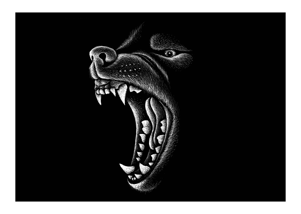 Bordet Wolf svartvit teckning Bordet Wolf Djur format: Horisontell