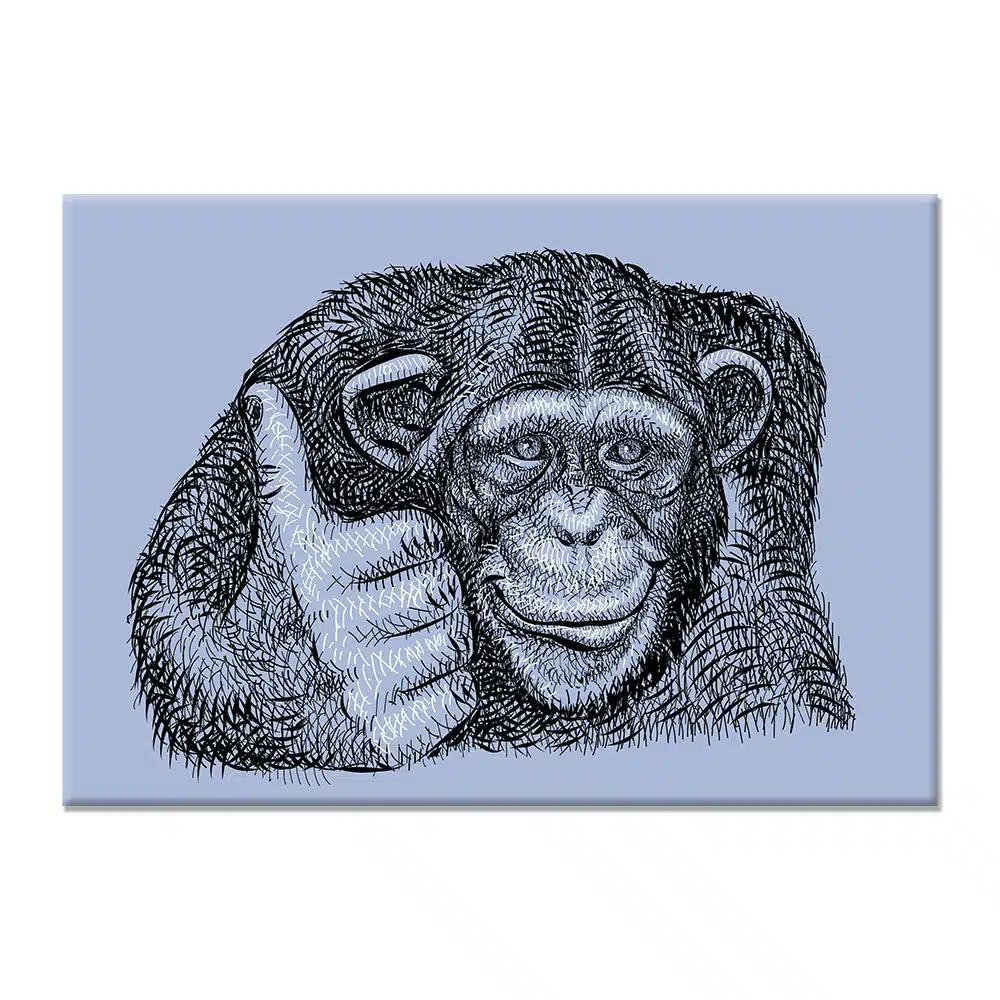 Bild apa som ritar tummen upp Bild apa Bild djur format: Horisontell