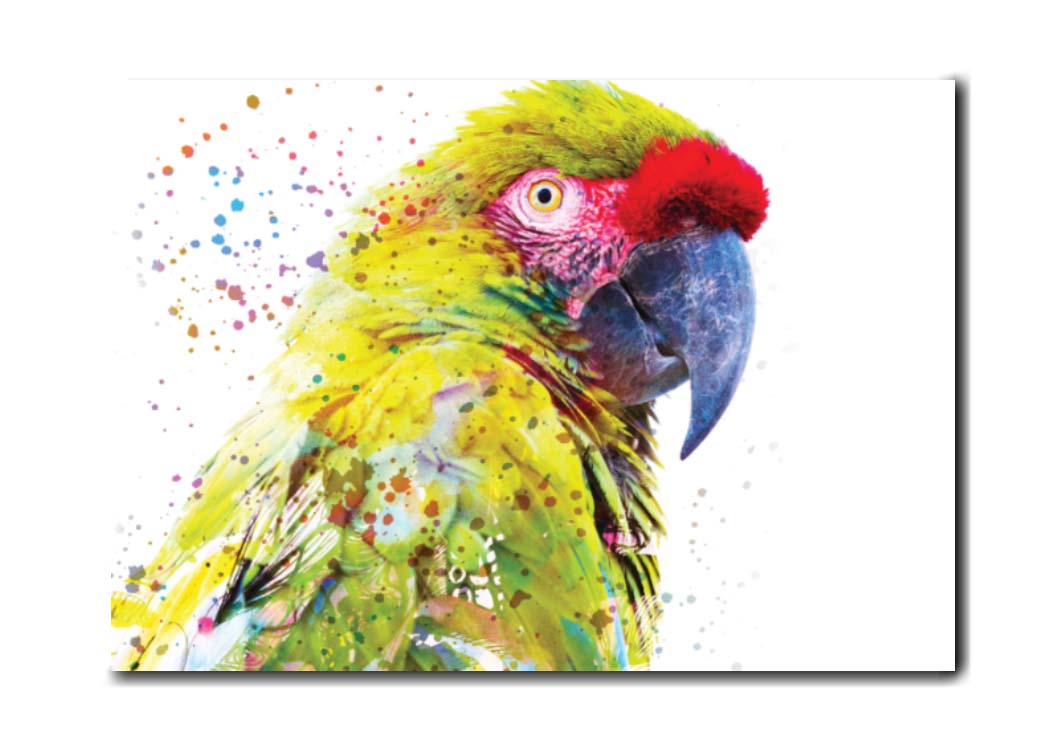 Pop art papegoja målning